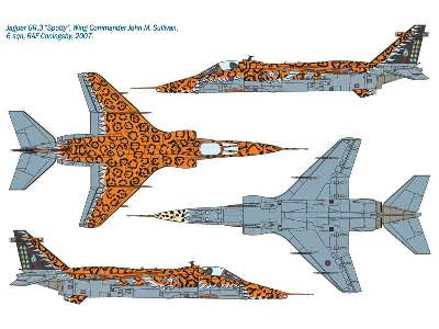 Jaguar Gr.3 BIG CAT Special Colors - zdjęcie 4