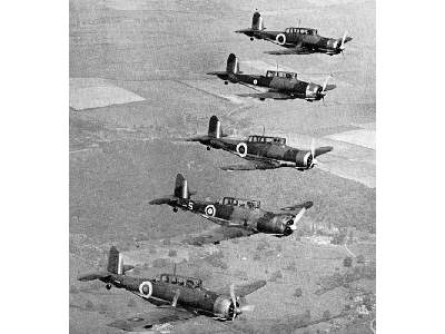 Blackburn Skua Mk.II British carrier-borne dive bomber - zdjęcie 11