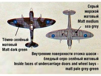 Supermarine Spitfire Mk.XIV British fighter vs. V-1 German flyin - zdjęcie 8