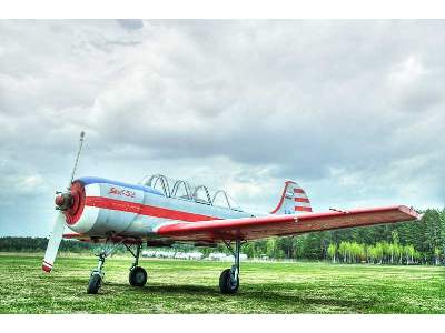 Yakovlev Yak-52 Russian aerobatics training aircraft - zdjęcie 5