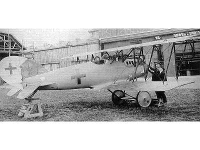 Pfalz D.XII German fighter - zdjęcie 7