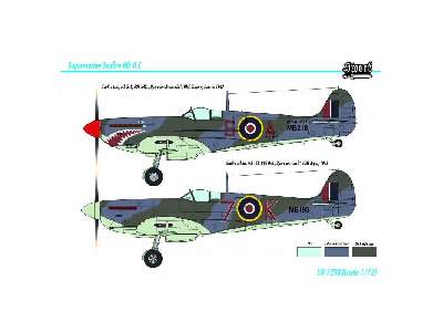 Seafire Mk.IIc - zdjęcie 7