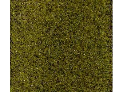 Posypka statyczna - trawa letnia łąka wys. 6mm - 30g  - zdjęcie 1