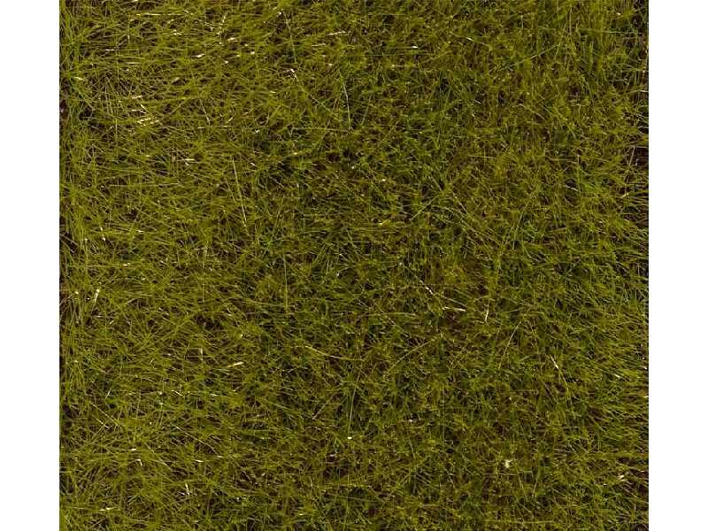 Posypka statyczna - trawa letnia łąka wys. 6mm - 30g  - zdjęcie 1