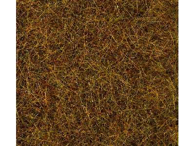 Posypka statyczna - trawa jesienna łąka wys. 6mm - 30g  - zdjęcie 1