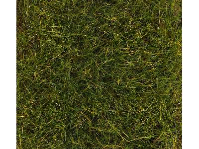 Posypka statyczna - trawa letnia łąka - 30g  - zdjęcie 1