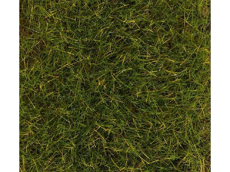 Posypka statyczna - trawa letnia łąka - 30g  - zdjęcie 1