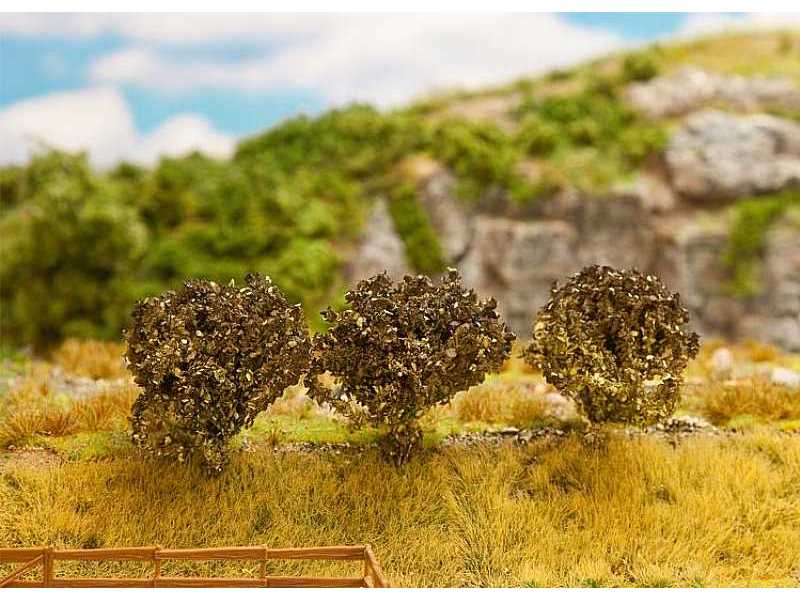 3 krzewy - PREMIUM - 40 mm - zdjęcie 1 3 krzewy - PREMIUM - 40 mm - zdjęcie 1