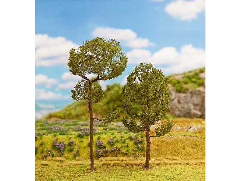 2 sosny - PREMIUM - 200 mm + 160 mm - zdjęcie 1 2 sosny - PREMIUM - 200 mm + 160 mm - zdjęcie 1