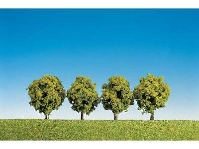 4 rzewa liściaste - 60 mm - zdjęcie 1