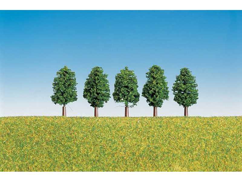 5 drzew liściastych - 40 mm - zdjęcie 1