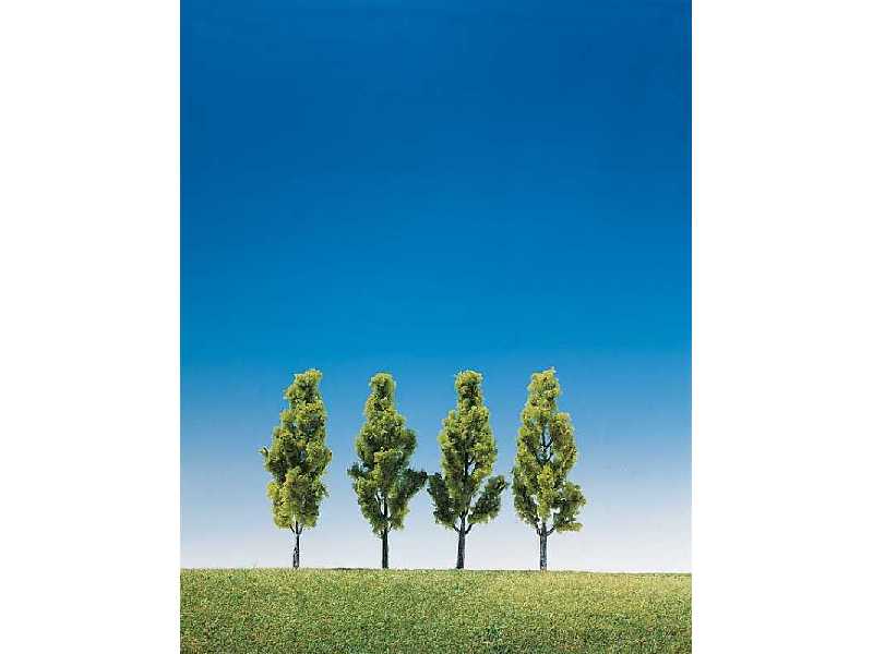 4 brzozy - 90 mm - zdjęcie 1 4 brzozy - 90 mm - zdjęcie 1