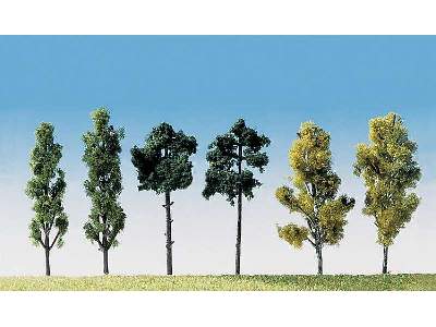 6 różnych drzew - 60 mm - zdjęcie 1