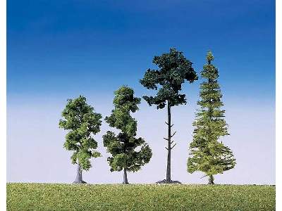 15 różnych drzew leśnych - mix - 90 – 150 mm - zdjęcie 1