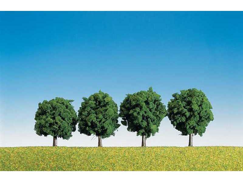 4 drzewa liściaste - 60 mm - zdjęcie 1