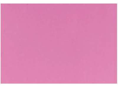 Squid Pink - zdjęcie 1