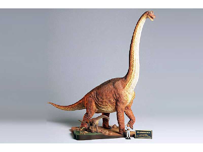 Zestaw Brachiosaurus - zdjęcie 1 Zestaw Brachiosaurus - zdjęcie 1