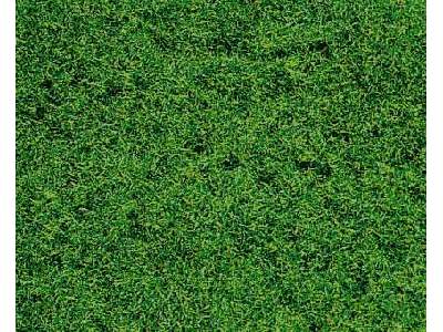 Roślinność na makietę - trawa letnia dzika, krótka - zdjęcie 1