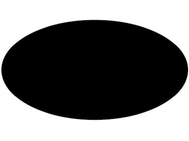Black (F) Spray - matowy czarny - zdjęcie 1