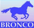 Bronco Models